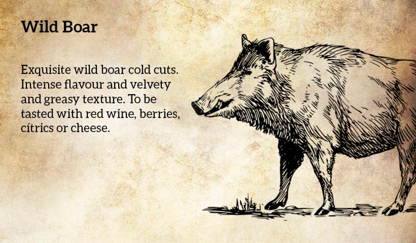 wild boar products